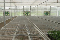 電鍍鋅溫室種植護欄網